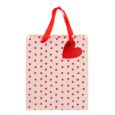 533921-VALENTINES-MEDIUM-GIFT-BAG-A1.jpg