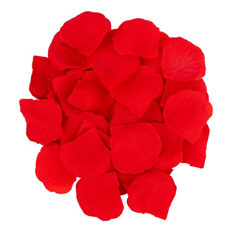 534101-VALENTINES-ROSE-PETAL-120PK-v2.jpg