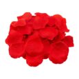 534101-VALENTINES-ROSE-PETAL-120PK-v3.jpg